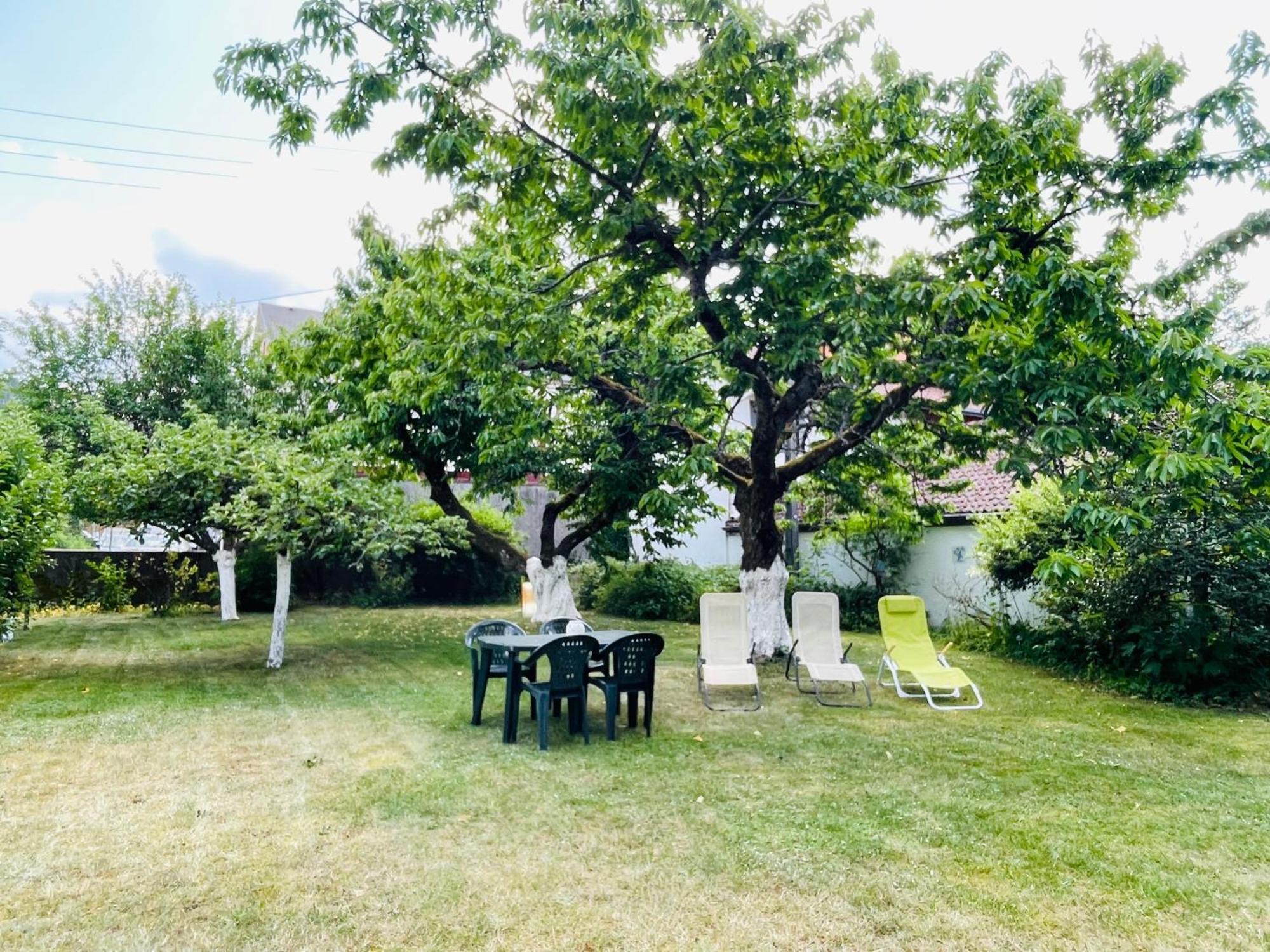 Appartamento L'Ecureuil Gérardmer Esterno foto